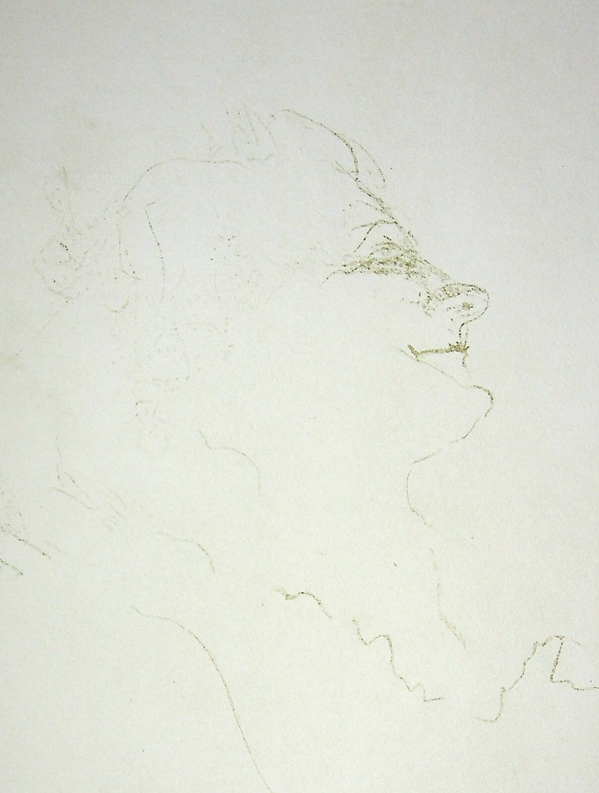 Photo 1/3