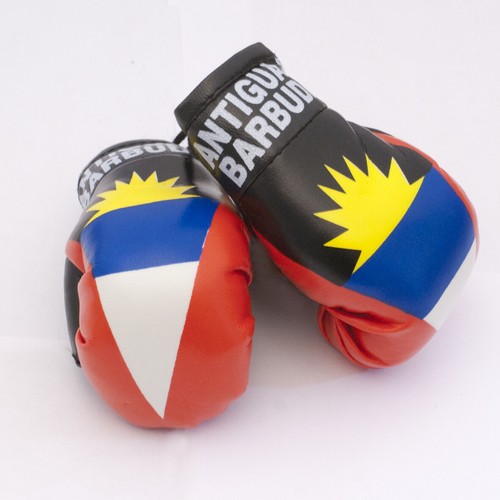 High Quality Country Flag MINI BOXING GLOVES - Rear View Mirror Gloves - New - Picture 22 of 134
