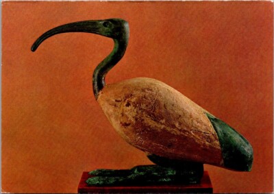 IBIS Symbol of the God Toth EGYPTIAN DYNASTY XXVI Art Museum 4x6 Postcard