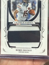 ROME ODUNZE 2025 NATIONAL TREASURES FRAMED FABRIC PATCH BEARS 40/49