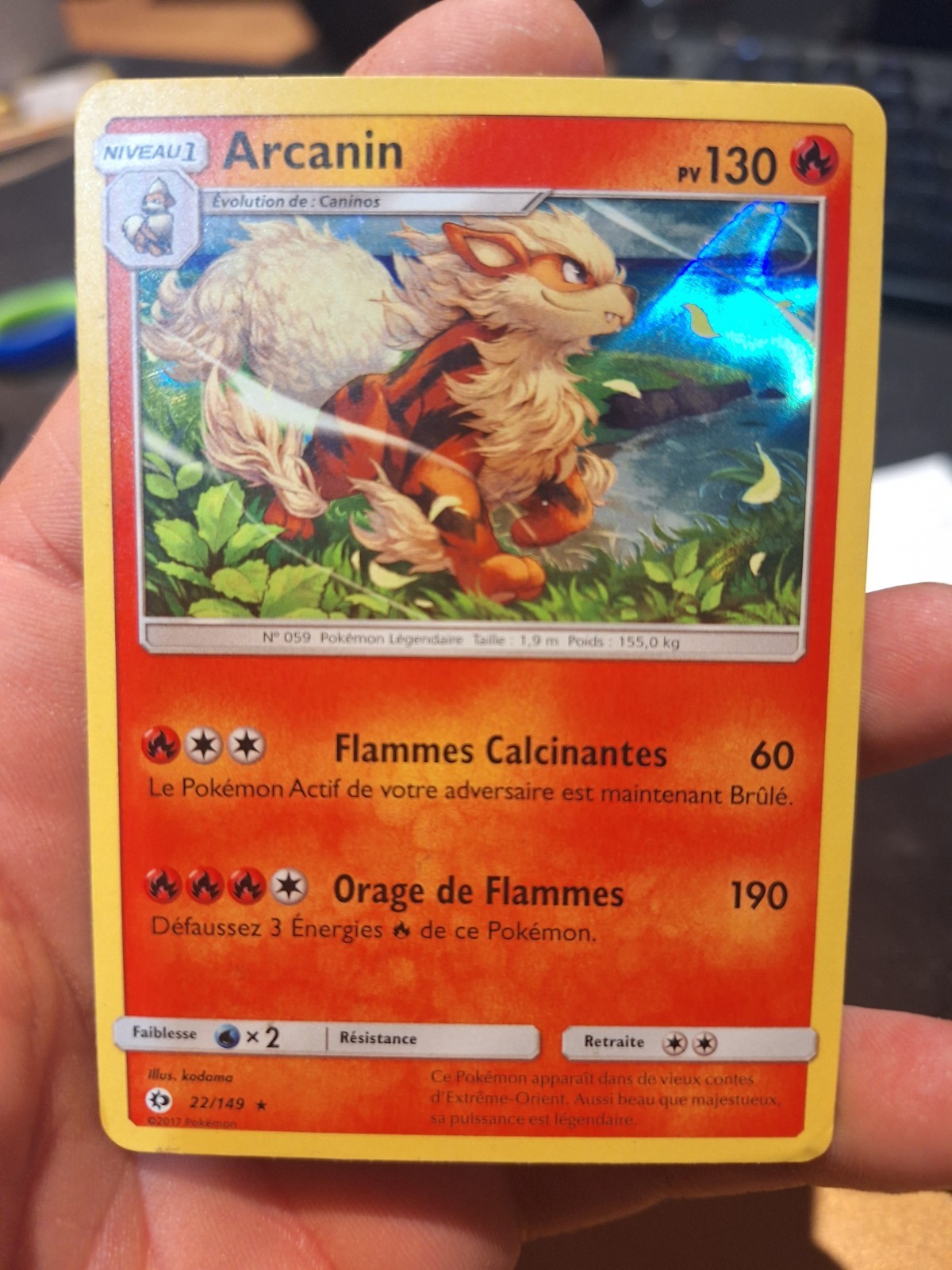 Arcanine – 22/149 – Sun & Moon Base – Holo Rare – French – NM Pokémon TCG