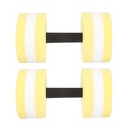 2 Pcs Adjustable Water Dumbbell Interesting Pool Weights Bar Hand