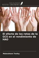 Mebrahtom Tesfay | El Efecto De Los Retos De La GCS En El Rendimiento De HAO