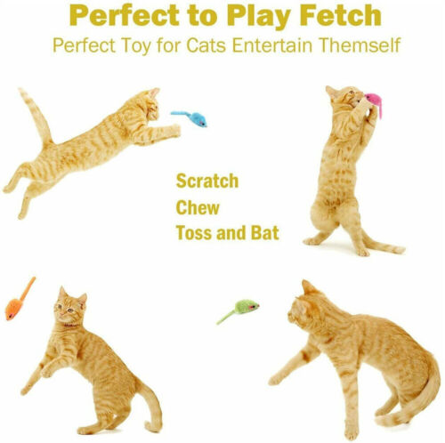 24 Rasselmäuse - Fellmäuse Katzenspielzeug - Maus - Mäuse - Spielzeug - Katze-DE - Bild 9 von 13