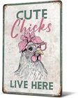 Vintage Chicken Coop Signs Cute Chick Live Here Metal Sign, 12 x 8 Inch
