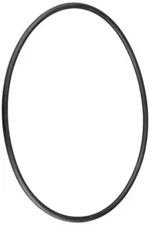 39101500  Pentair Volute O-Ring Maxim Pool and Spa Pump