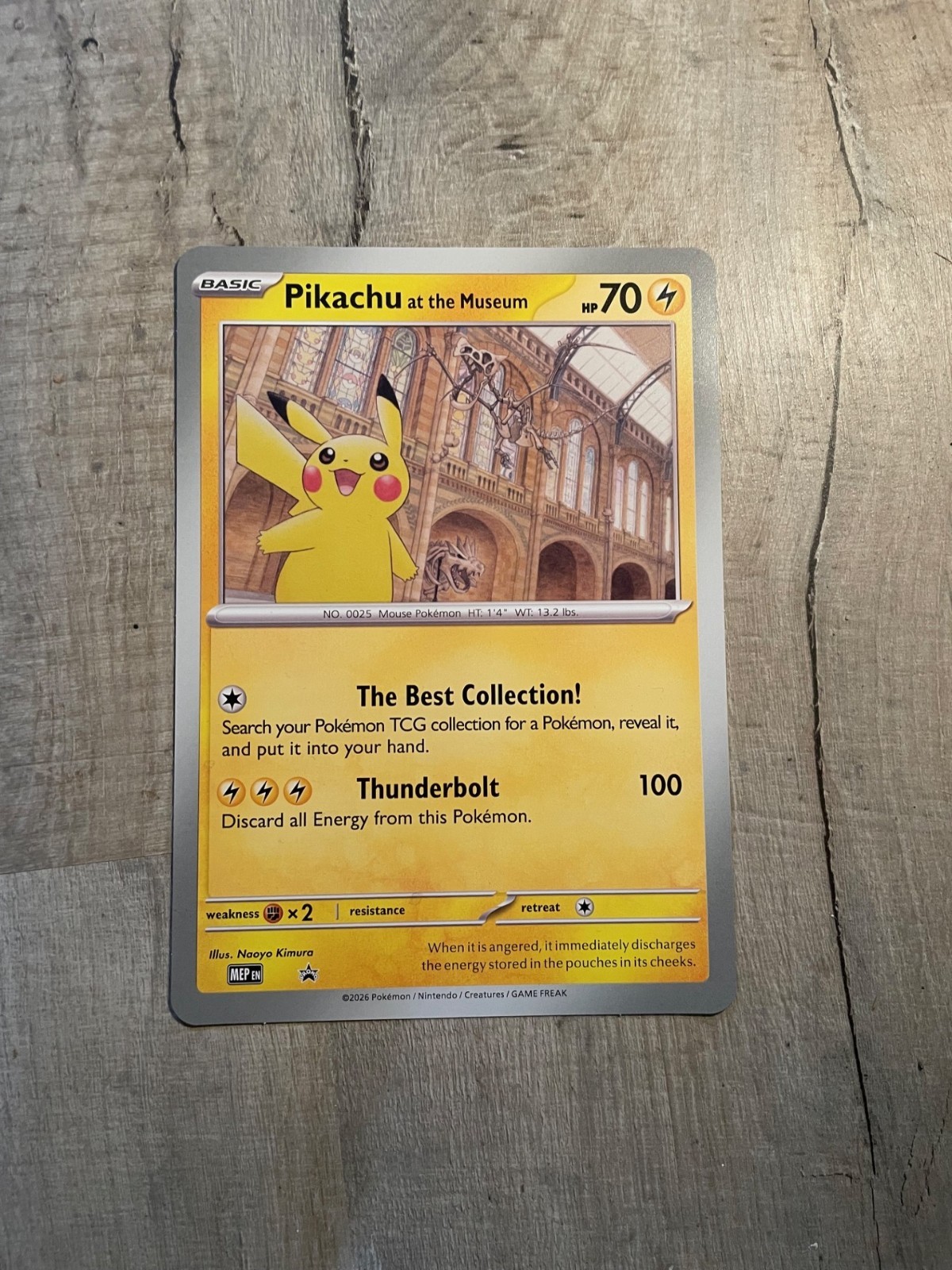 Pokemon TCG: Pikachu at the Museum x Natural History Museum Jumbo Promo Card ⚡️