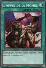 Yu-Gi-Oh: Der Ruf der Mumie - SR07-FR028 - Commune - NM - DE