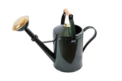 British Can Nice 5 Liter in Grün
