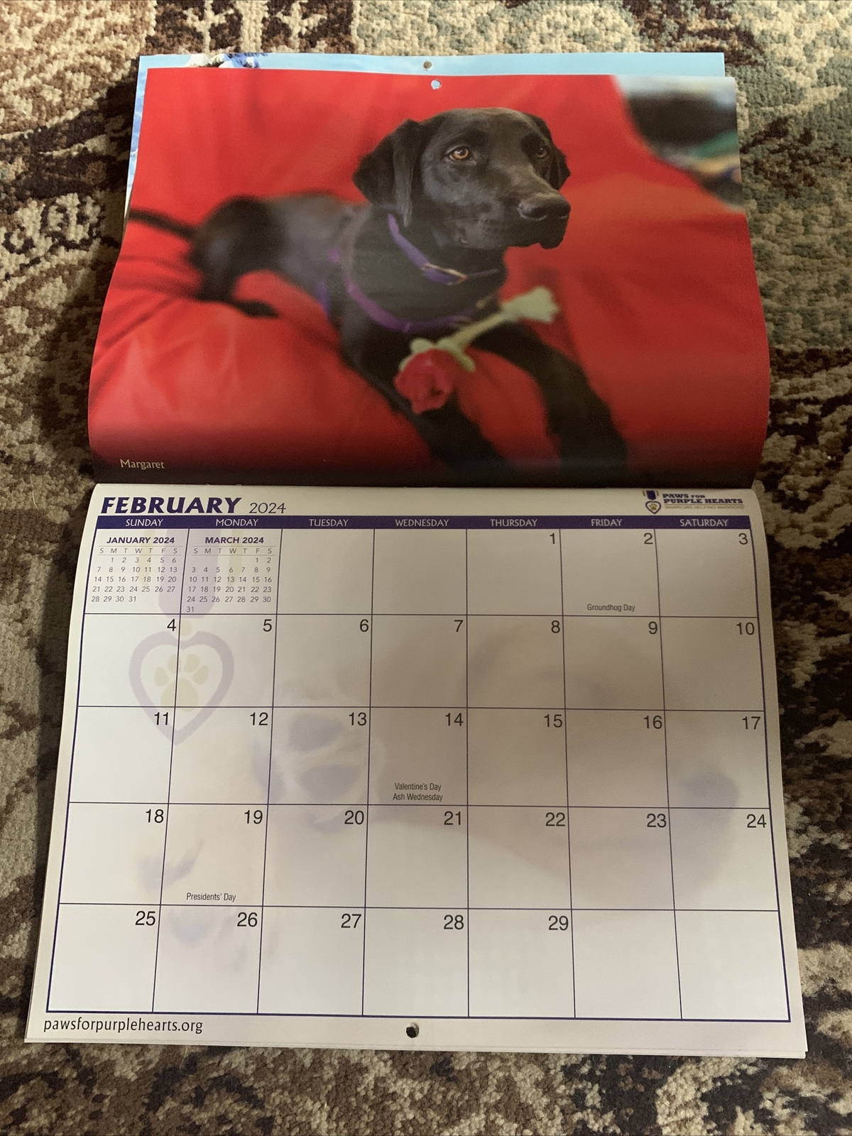 Paws For Purple Hearts 13 Month 2024 Wall Calendar From 12 2023 24 Warrior Pups EBay