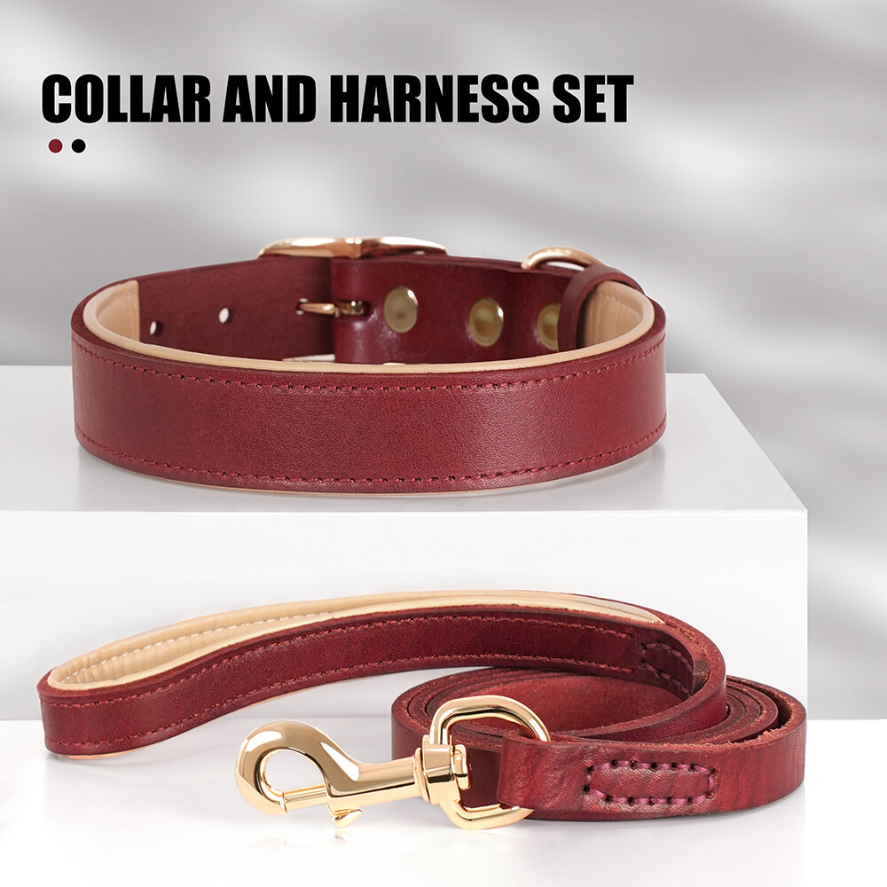 HSIGIO Padded Leather Dog Collar - Soft Adjustable PU Leather With Metal Buckle