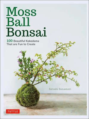Moss Ball Bonsai | 100 Beautiful Kokedama That are Fun to Create | Sunamori