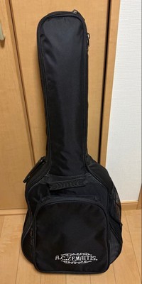 ZEMAITIS Mini Acoustic Guitar CAM-60H | eBay