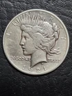 Nice Looking Key Date 1921 Peace Silver Dollar