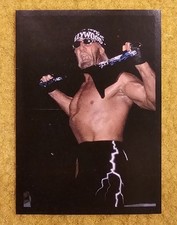 1999 Panini WCW/NWO Sticker - Hollywood Hulk Hogan - 29