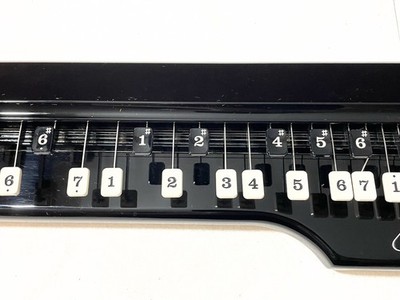 Suzuki RAN Alto Taishogoto Elettrico Nero Con Custodia Rigida, Usato, Made In Japan