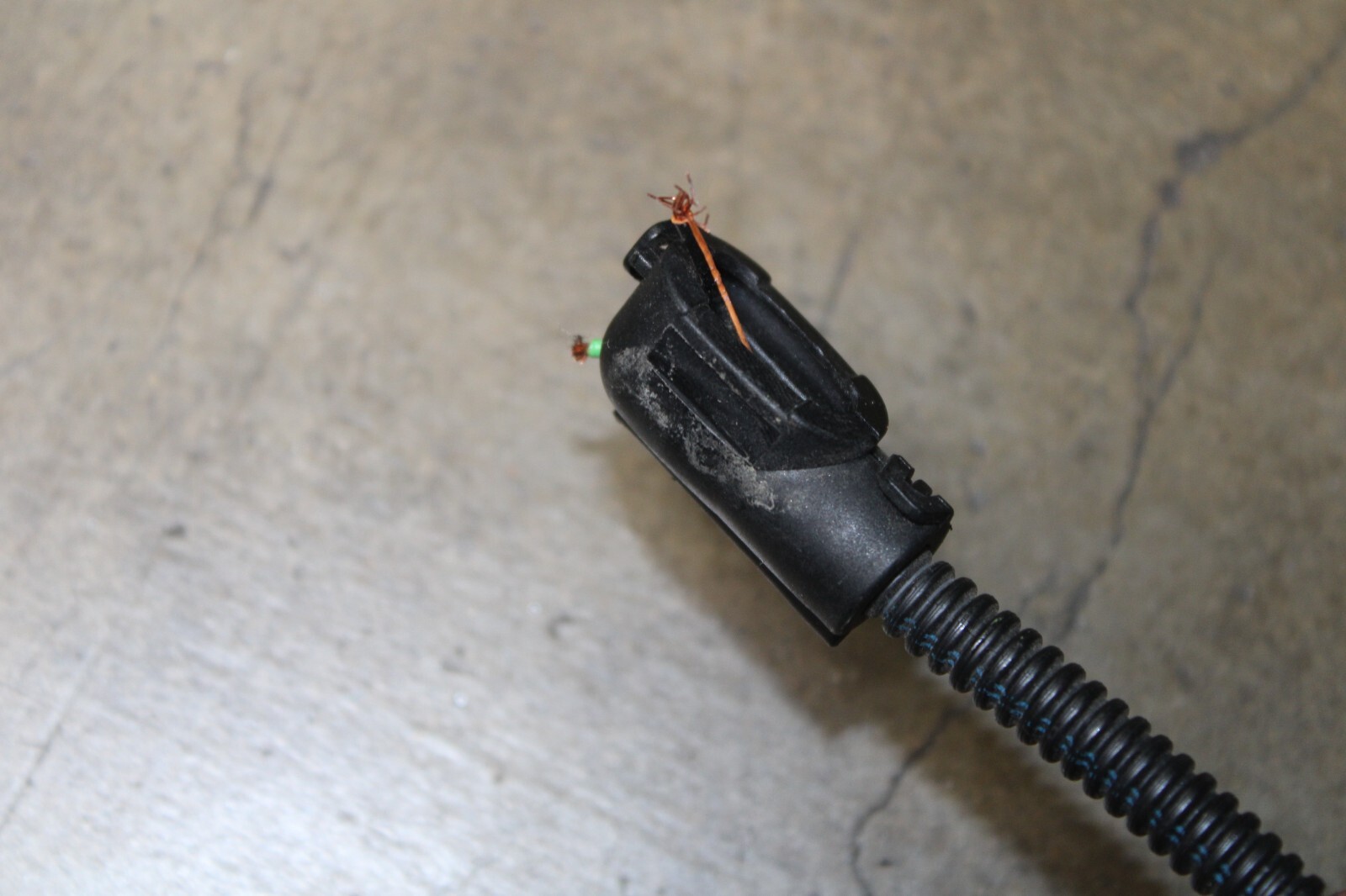 Ferrari 360, Spider, RH, Right, Body Wire Harness, Cut Wires, Used, P/N 179169