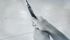 Video 1 von 1