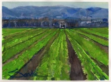 Ventura County Farm : Sandra Watercolors™  : ORIGINAL PAINTING