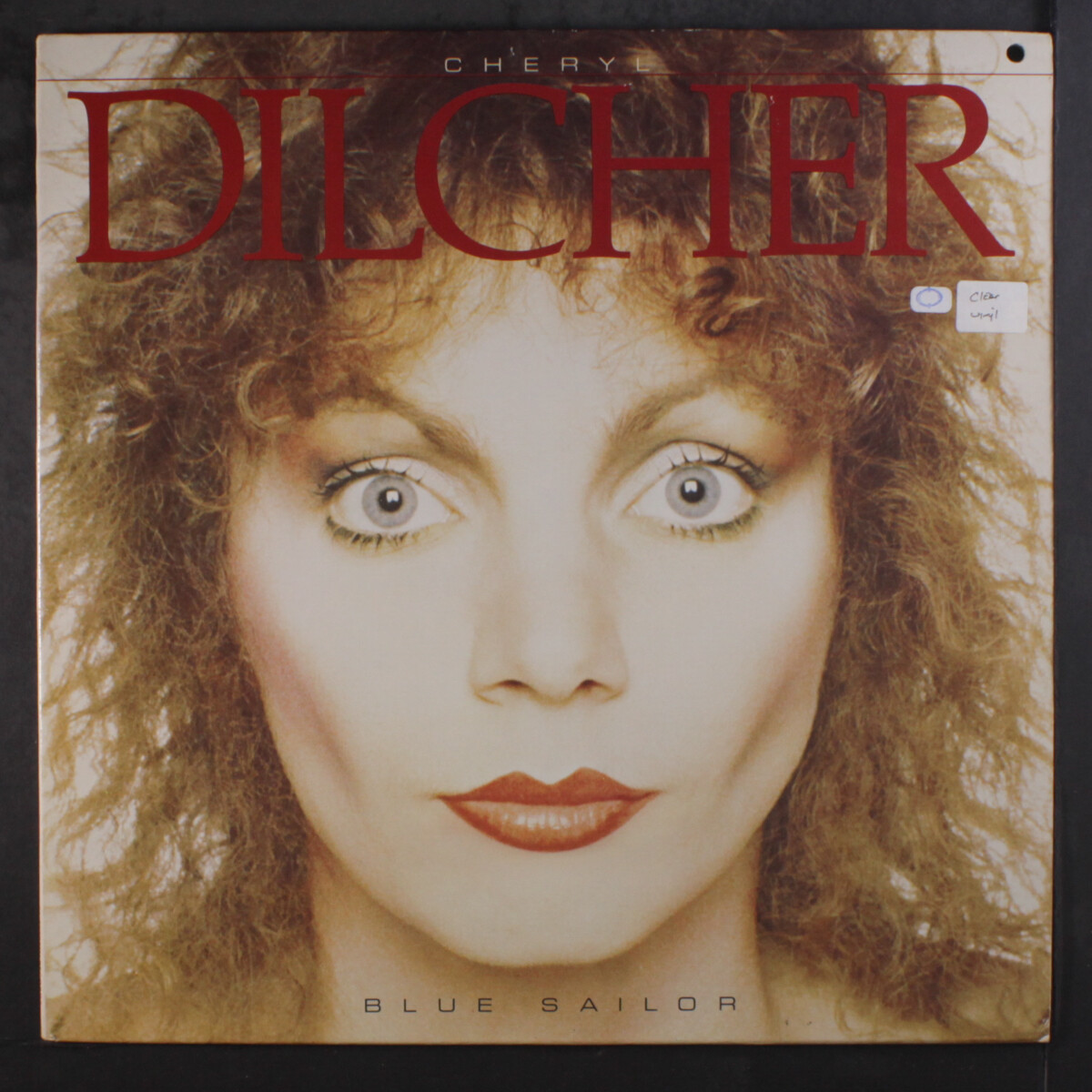 洋楽 CHERYL DILCHER CHERYL DILCHER: blue sailor BUTTERFLY 12