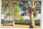 Australian Stamps.Maxi Cards.Set of 4 Panorama's of Australia ll.2002