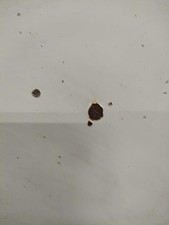 Capot Volkswagen TRANSPORTER