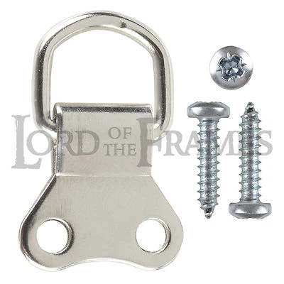 LORD OF THE FRAMES 50 x Anelli a D Doppio Puntale Cornice Cornice Tela Foto da Appendere + VITI