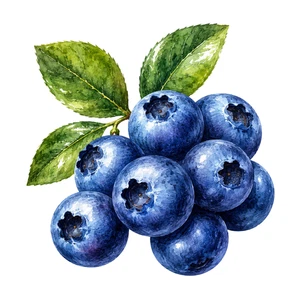 Blueberry Vinyl Sticker Self Adhesive Fruit Food Wall Decal Various Sizes