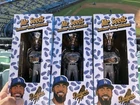 LA Dodgers Mr. Seeds Sunflower Tossing Bobblehead Teoscar Hernández SGA IN HAND