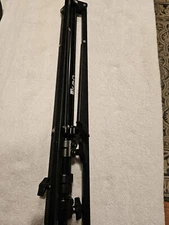 Ikan Tripod- GREAT condition