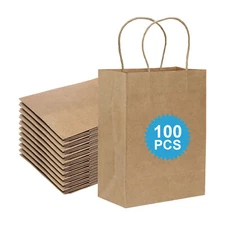 100 Bags 8 x 4.25 x 10.5 Inch kraft Paper Gift Bags with Handles Bulk Shopping