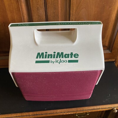 Mini Glacière Igloo Mini Mate Vintage 90's - Vert, Blanc, Violet - Made In USA