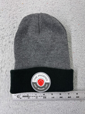 The Phoenix Beanie Toque Adult One Size Gray Knit Acrylic Rise Recover Live
