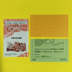 Chaos World Famicom FC Nintendo Japan Import Natsume RPG Boxed Manual