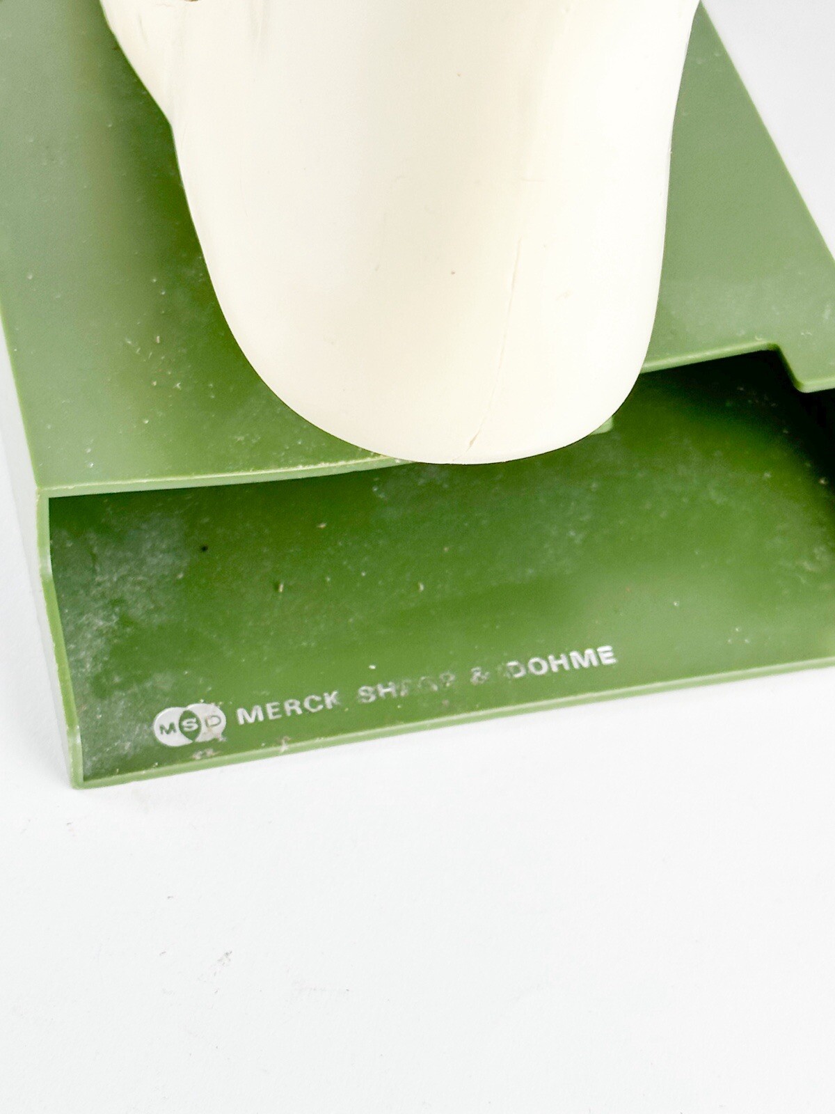 Merck Sharpe & Dome Anatomic Foot Model