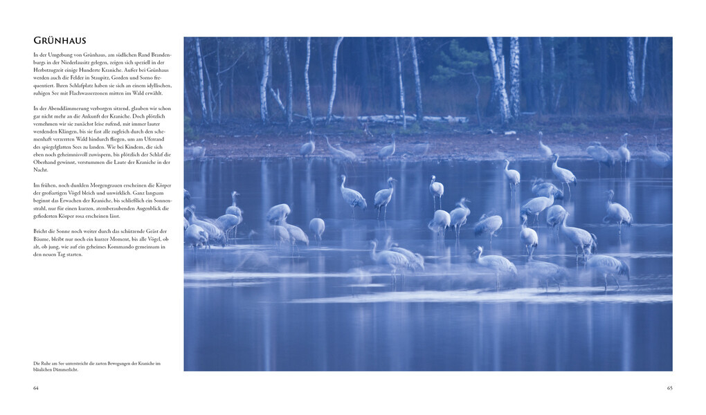 Thumbnail - Naturerlebnis Kranichzug | Norbert Daubner, Gaby Hufler | 2020 |