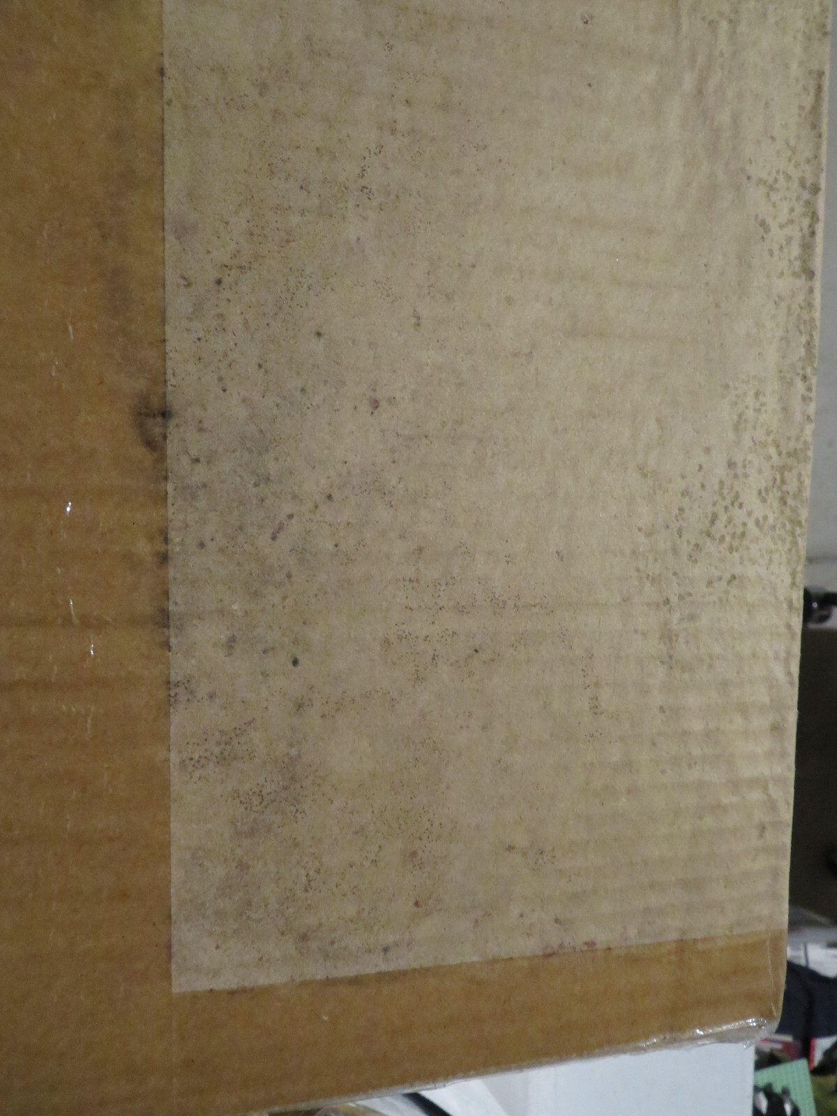 Picture 6 of 12