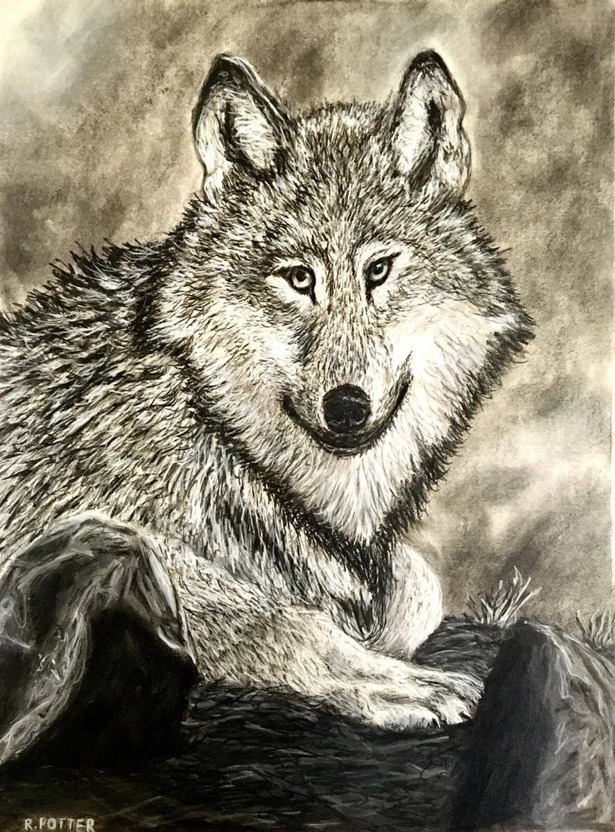 Charcoal Art Animals