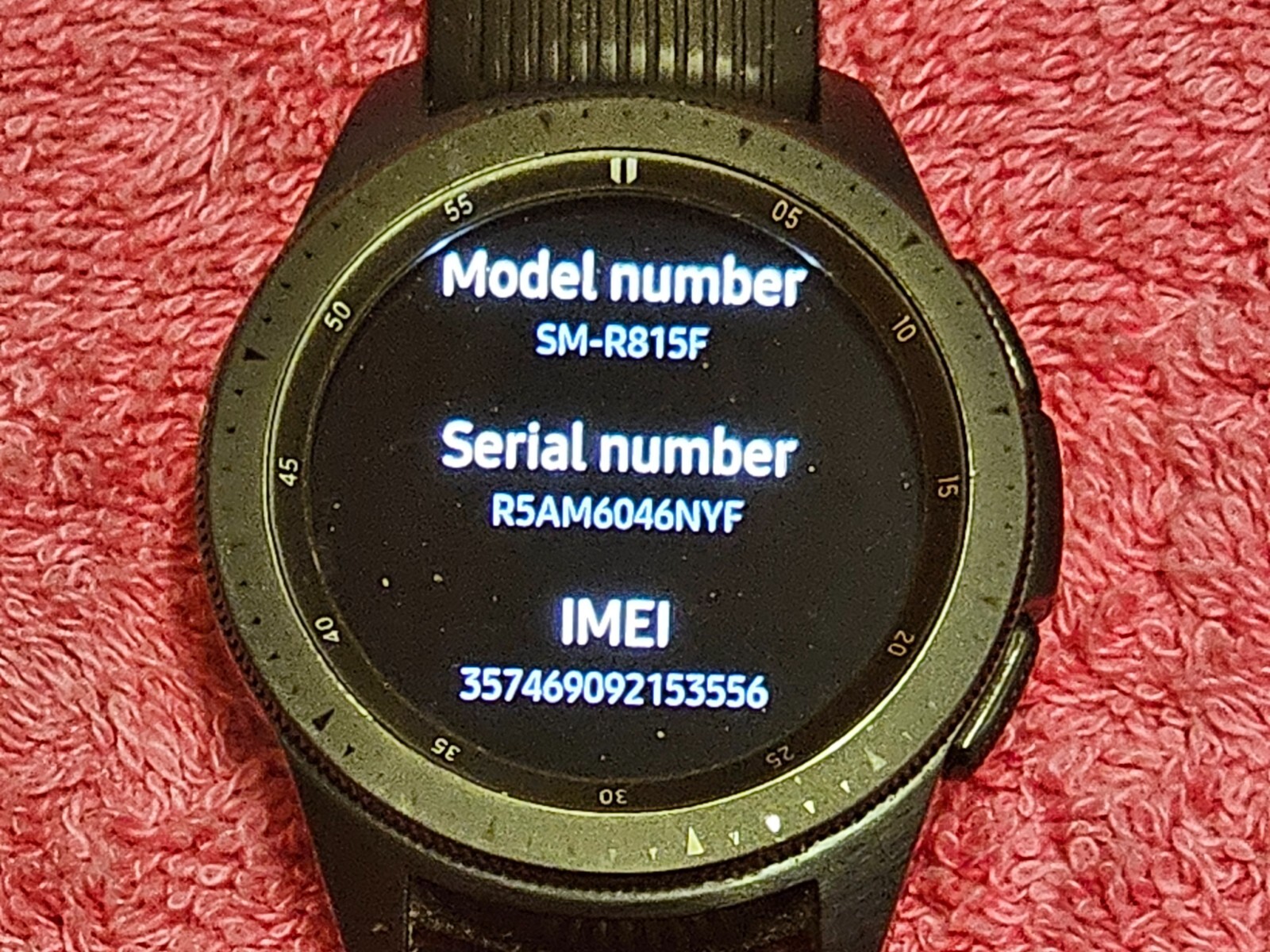 Zdjęcie 17 z 19