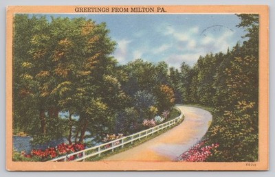 Milton Pennsylvania Greetings From, Rural Road Scene 1936 PA Postcard 