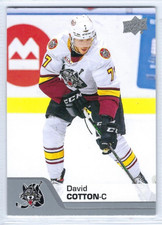 2020-21 Upper Deck AHL #45 David Cotton