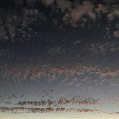 K. Leimer Found Objects (CD) Album