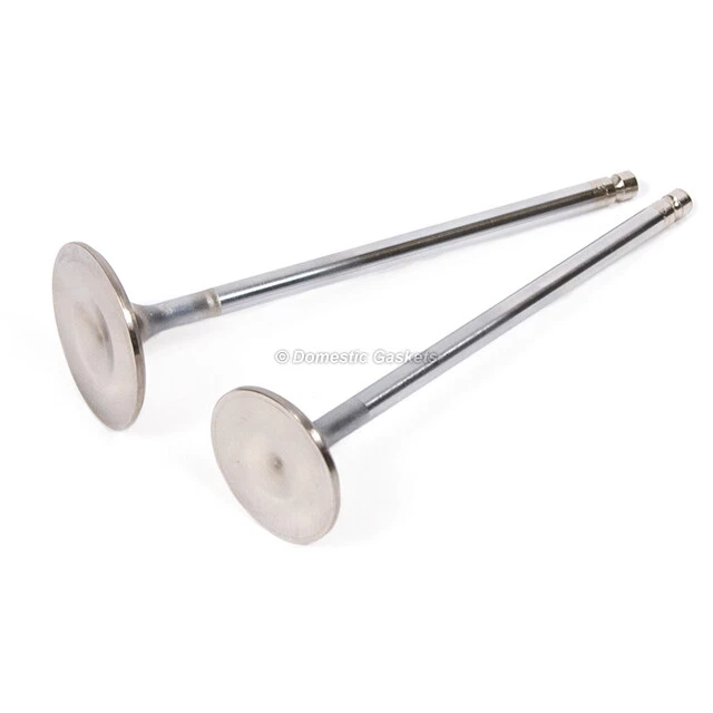 Sellos de válvula de escape de admisión para Honda Accord Acura C T Odyssey HP 97-02 Foto 3 de 4