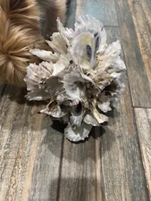 New Oyster Shell Decorative Ball Coastal Bayou Oyster Shell Art