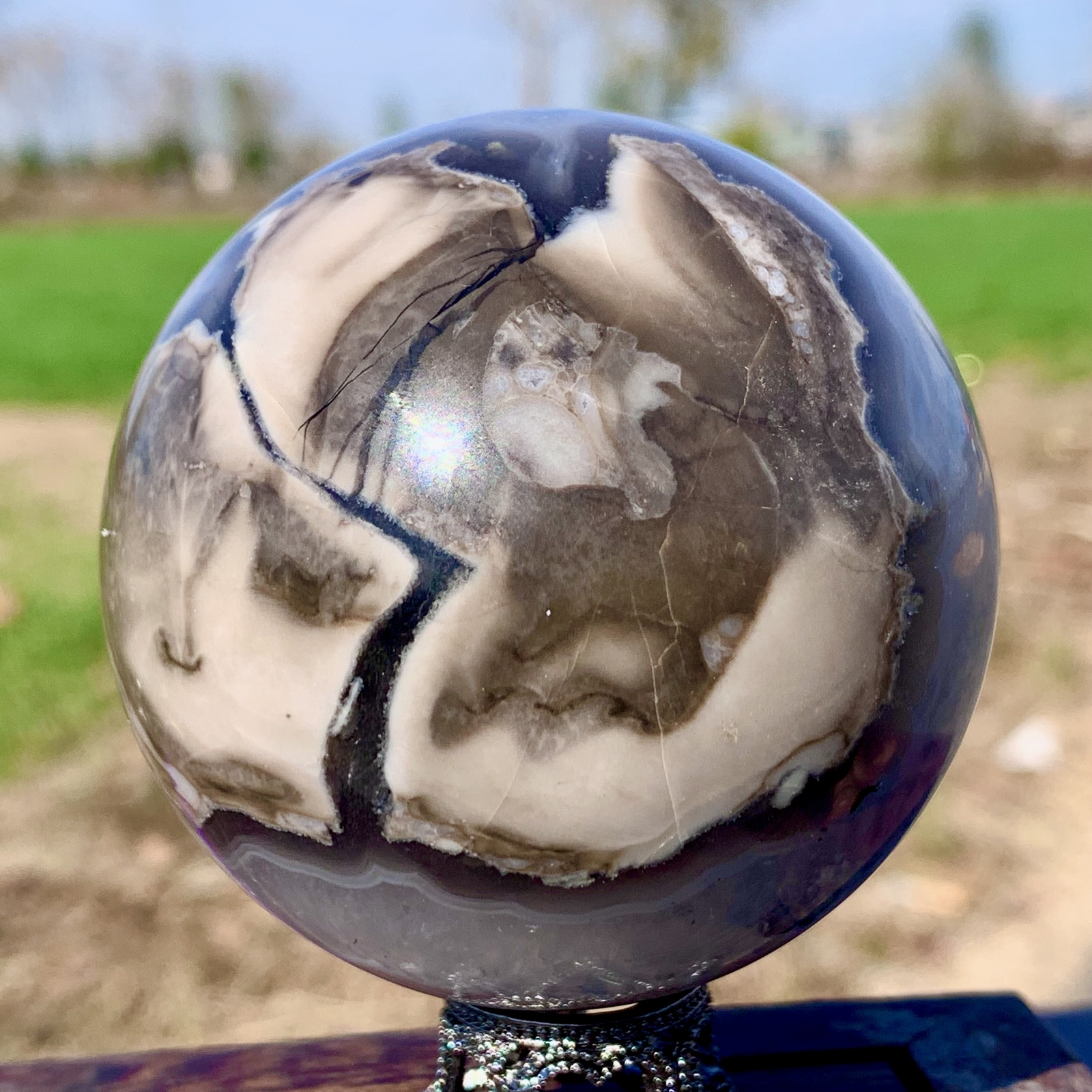 372G Natural Black Flower Agate Quartz Sphere Crystal Ball for Reiki Healing
