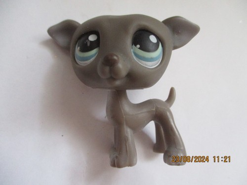Figurine Petshop Chat Européen N°525-790 - Avec Aimant - Occasion