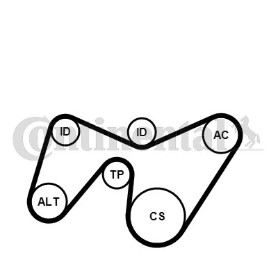6PK1642K2 CONTINENTAL CTAM V-RIBBED BELT KIT FOR FORD