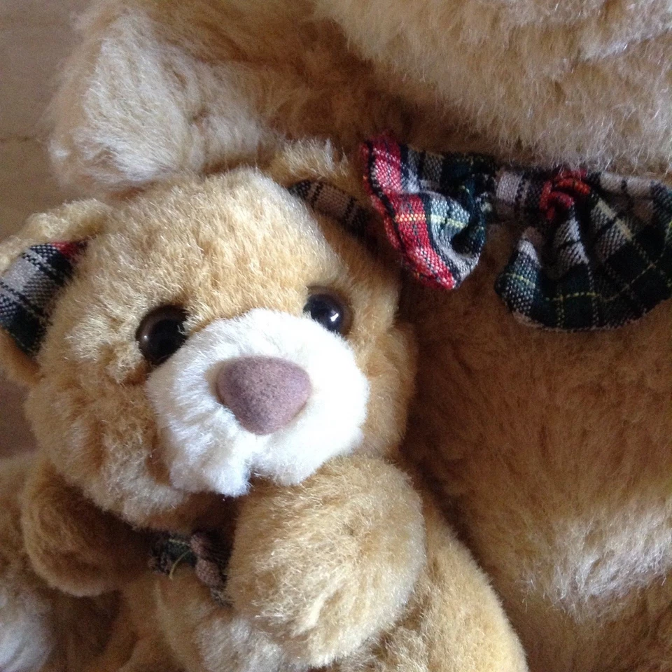 Peluche orso con orsetto 30 cm - Immagine 4 di 4