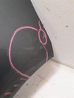 Bild 8 von 12