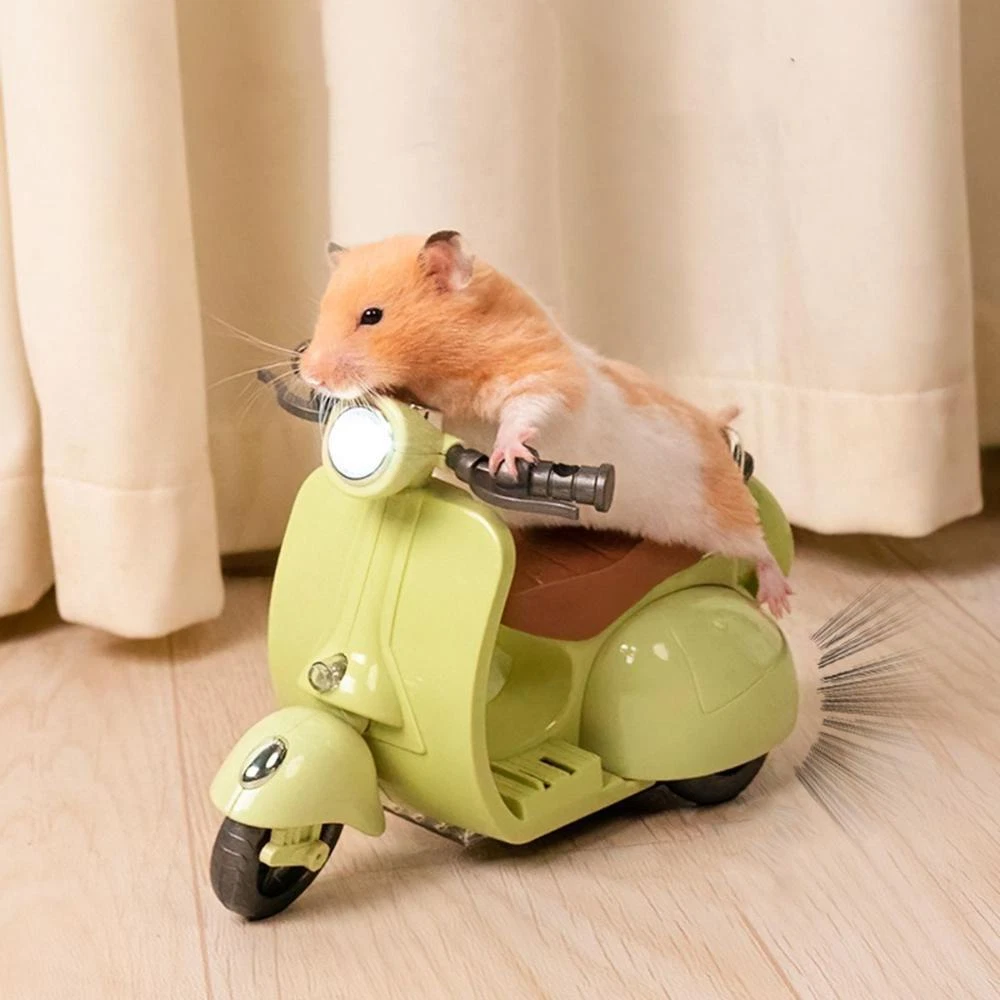 Hamster spinning hotsell